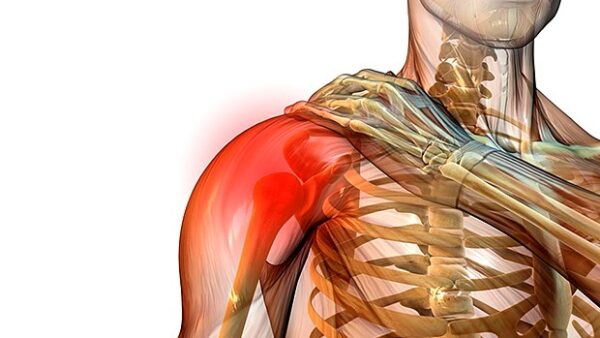 8 Tips for Bigger, Healthier Shoulders